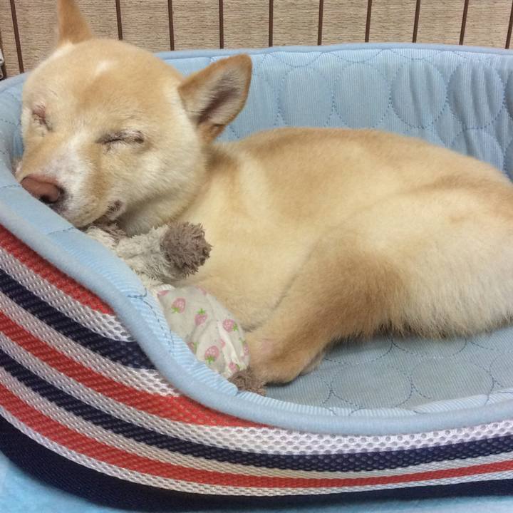 4127e1a3 2833 4cf1 93d2 73769961ffae