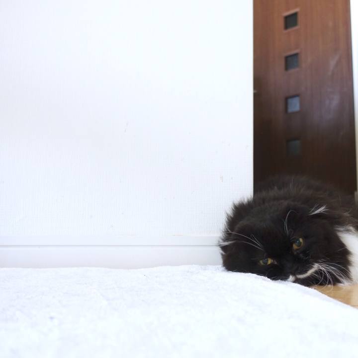 4127f98e 88e2 4ae5 8d93 c0cca7422a1a