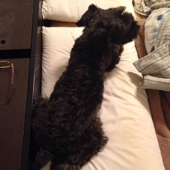 41289fc3 558b 4930 a923 feec4e5ee767