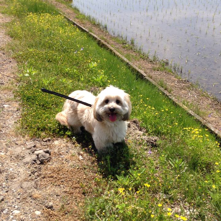 41292264 7be1 45f4 90ab f93542df311b