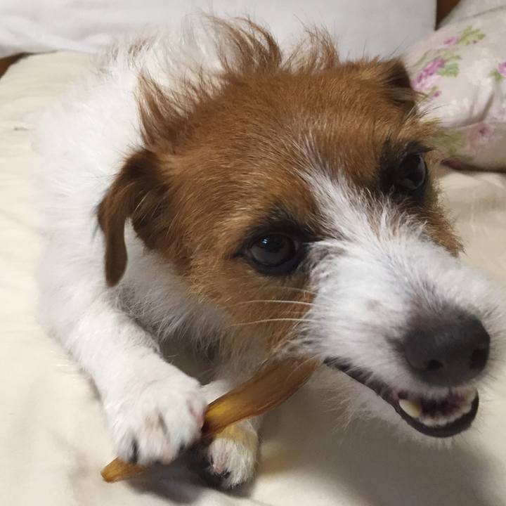 4129d3ba 2d6d 48ec 91f0 d2cc2984d510