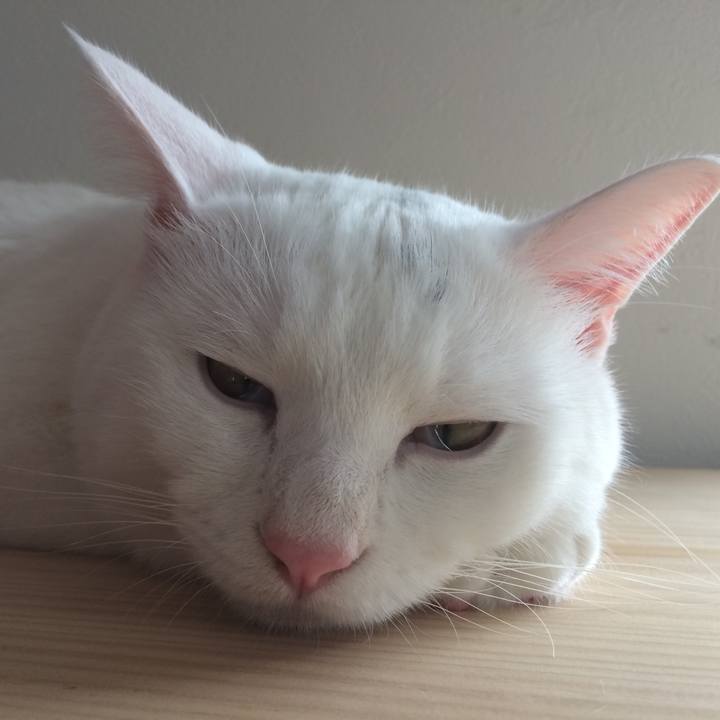 4129ec61 b9e1 43ed 91b4 d2bfd35c879e