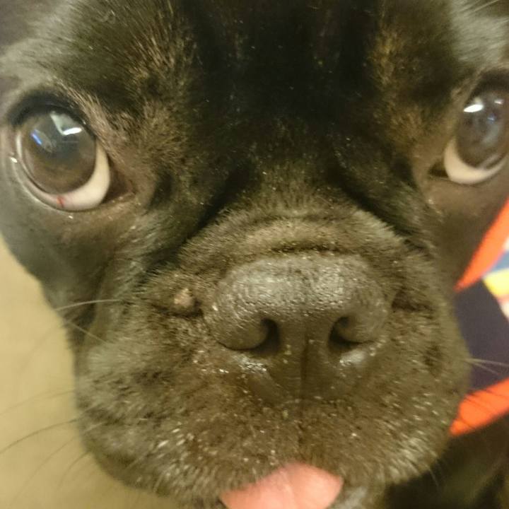 412a2310 4dea 4248 8eca 3a9daffbf9a6