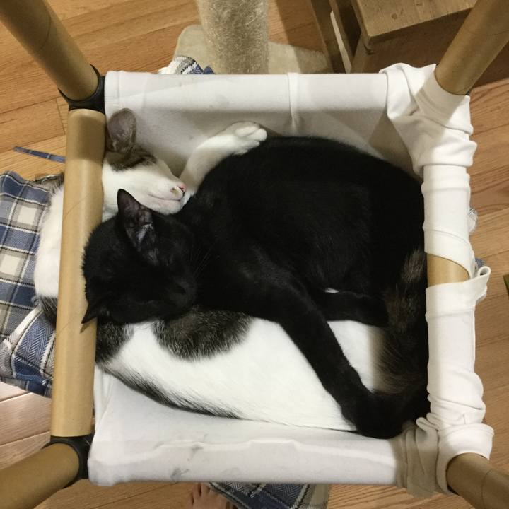 412a8ef1 0f9a 423d 9af6 76ec5cc80fec