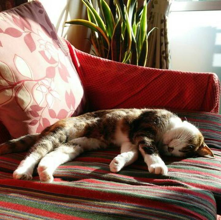 412b5fce f795 4380 9609 8e8240dc7672