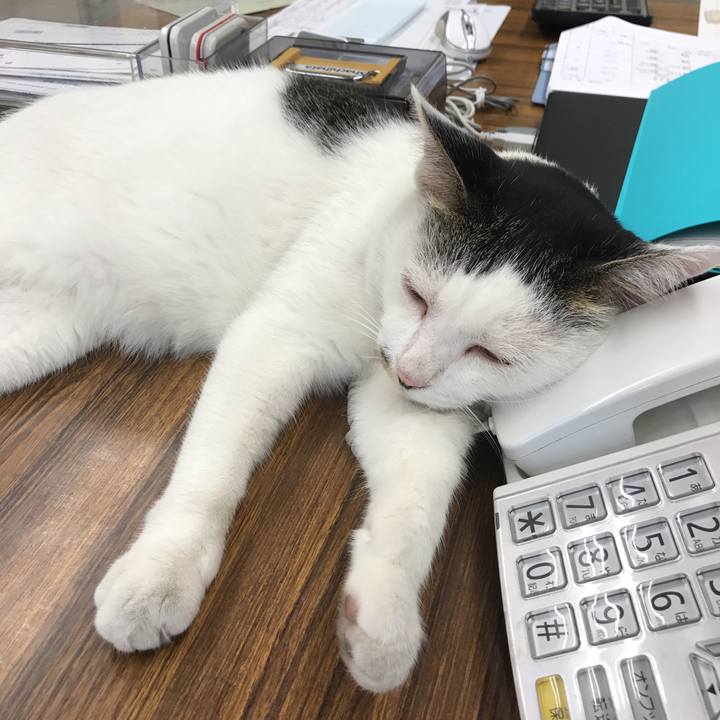 412c4a74 09e1 426f 8d99 2bab823dcc9c