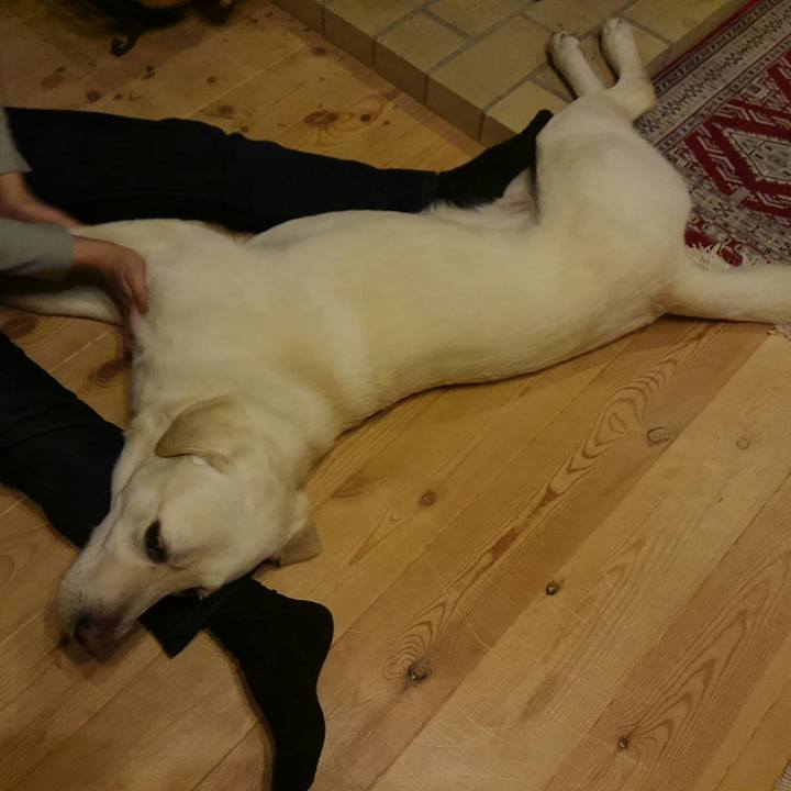 412ca3a2 34d4 4163 a42c ee82693f9d4e