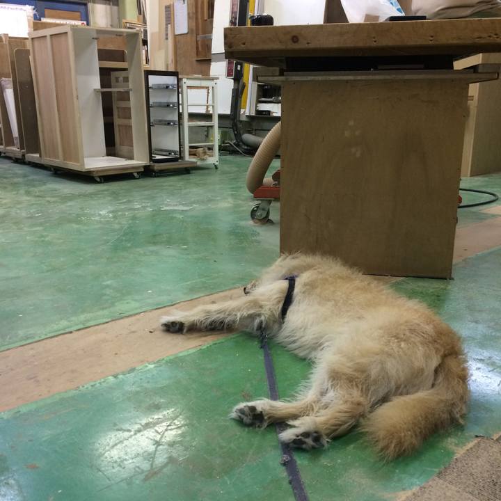 412da1a9 4108 4529 b008 b02d021242ac