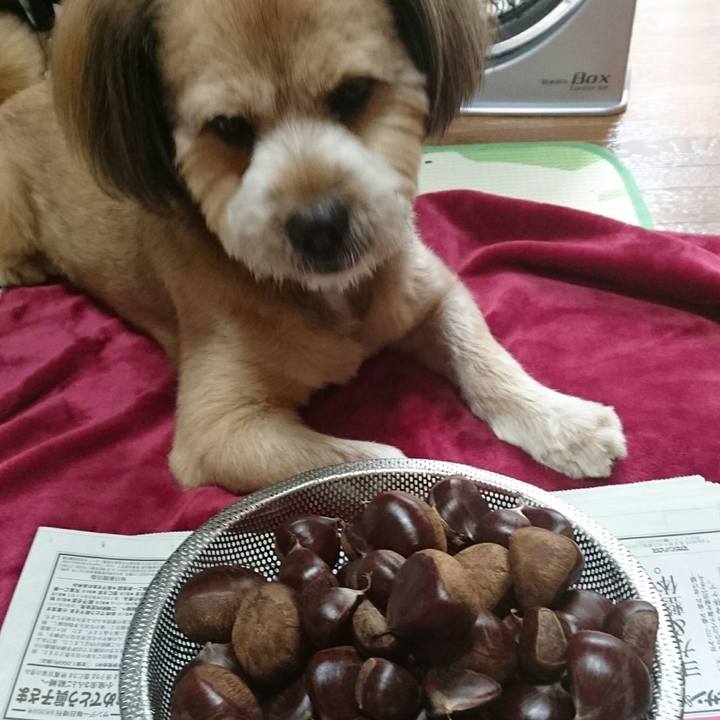 412deabd f9fd 4296 b66a 50336603e1d9