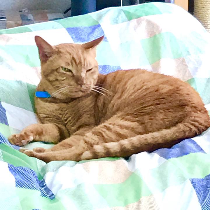 412df00c 8569 499a ae97 cb3724a08ec7