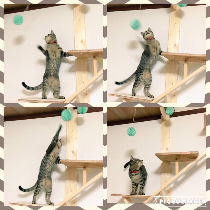 412e8503 4e66 43c1 9c41 8f106da97953