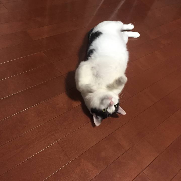 412efaa1 2371 4915 81c5 ed4160b2c37d