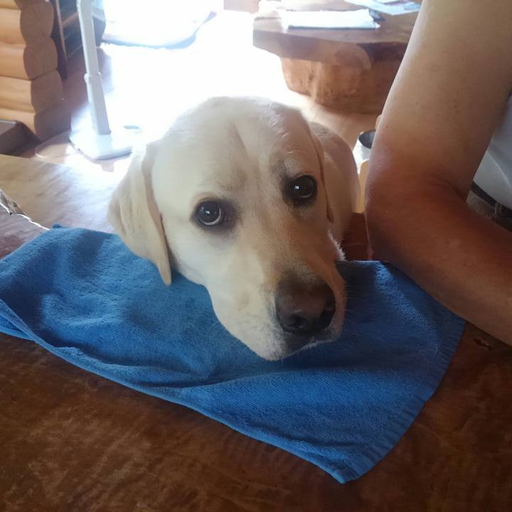 412f3363 1e0e 495a bc6c 932674044c6d