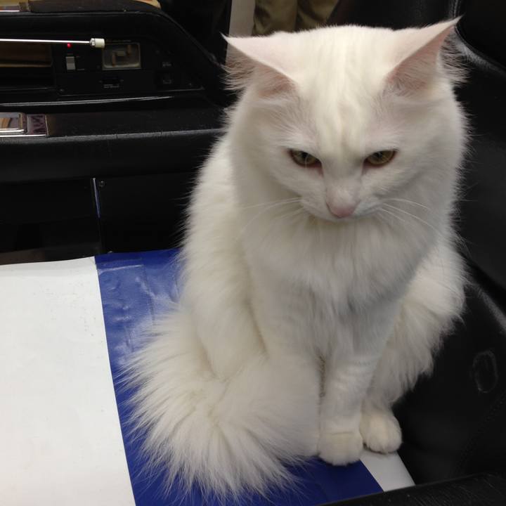 41307674 abf8 400c 85cb 647b75c2b7dc