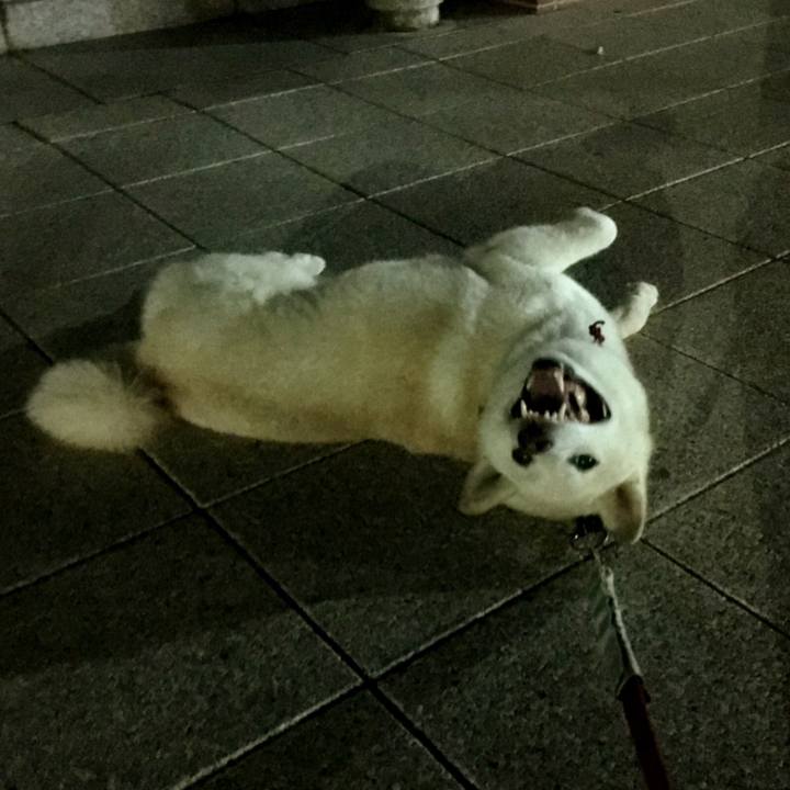 413115ab b541 42cd 9921 fed638f68cbe