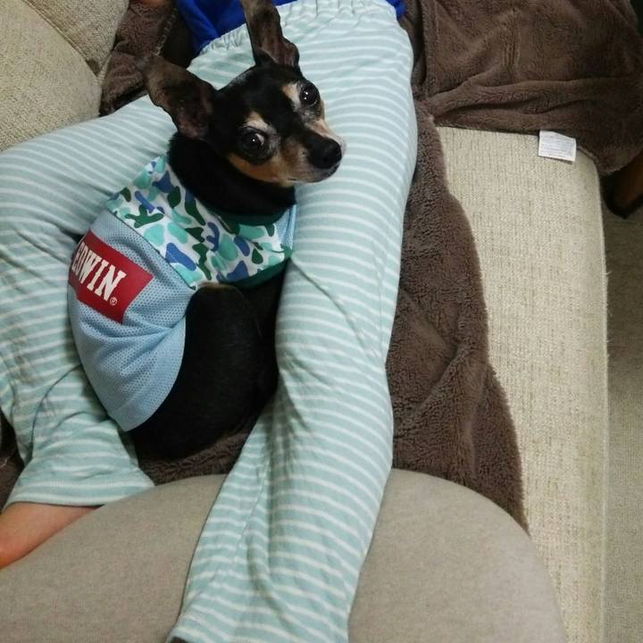 413124aa 7426 42fc a8dc 79cd462aea62