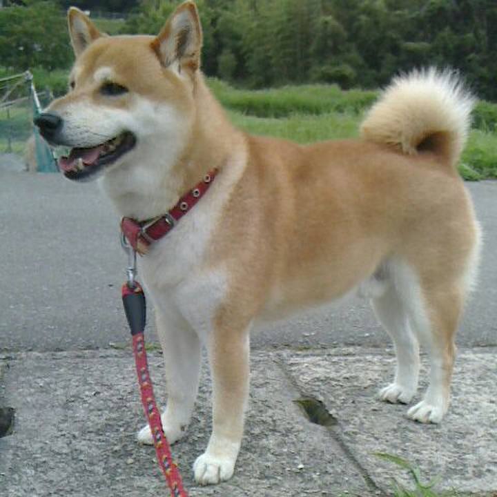 4131e8a0 9694 4610 a33e d0f430066698