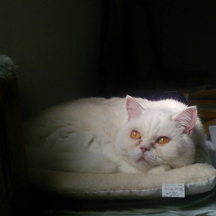 413209cf 3633 4967 8504 8c2979c27d04