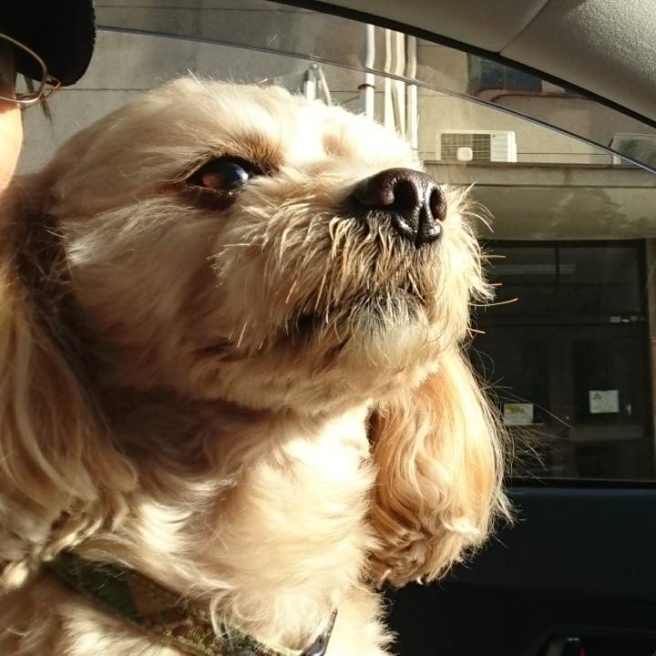 41336884 1198 408c b143 cb625d818eb2