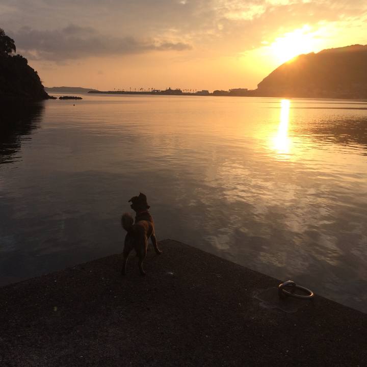 41340cef f3a6 48f8 9844 b51367a36282