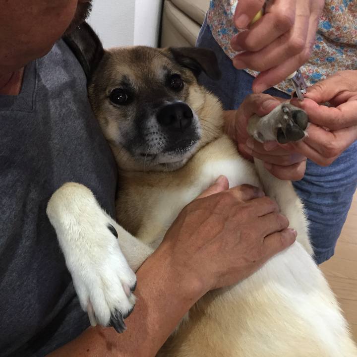 41343e5f 1bad 4953 9565 2e139836e76c