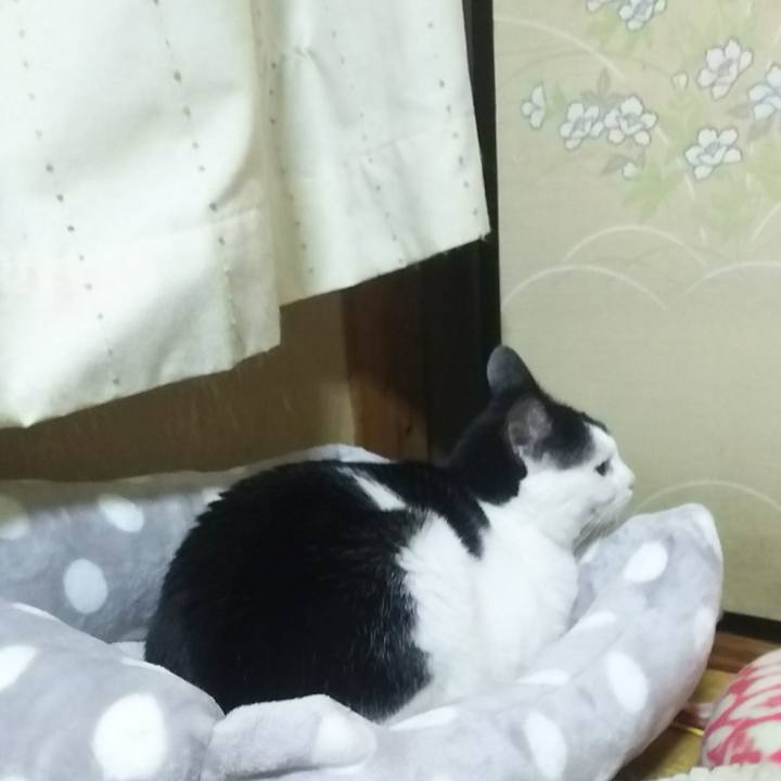 4134cb43 4831 4ff0 85bf a11da140bce4