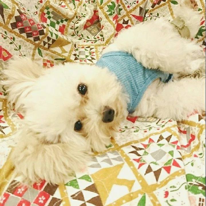 4134d952 900e 4bb8 968f 72eaffea15a1