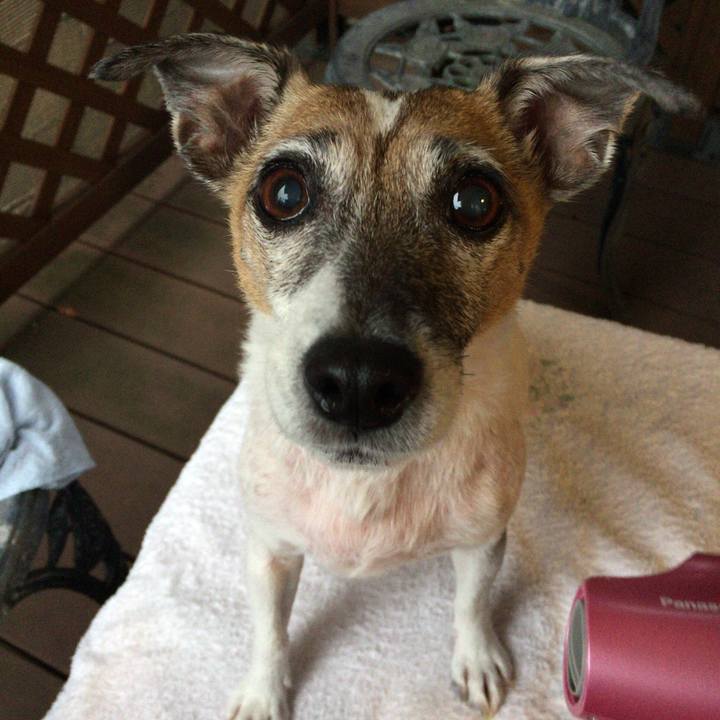 41365958 efeb 49e5 b355 36d43b3d6eab