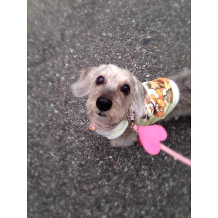 4136777c 2def 4f91 9ffb 72199e3ab510