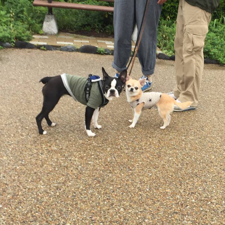 4136a209 69f2 4ba1 9aa2 a1ce4eaf9f71