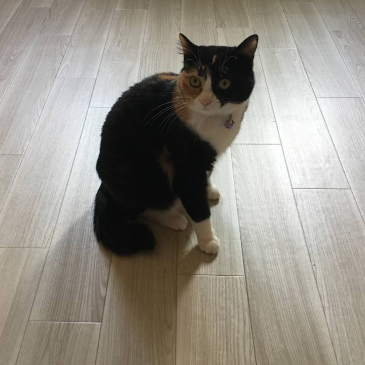 4137eeec fea6 43f6 9baa 77f16a983df7