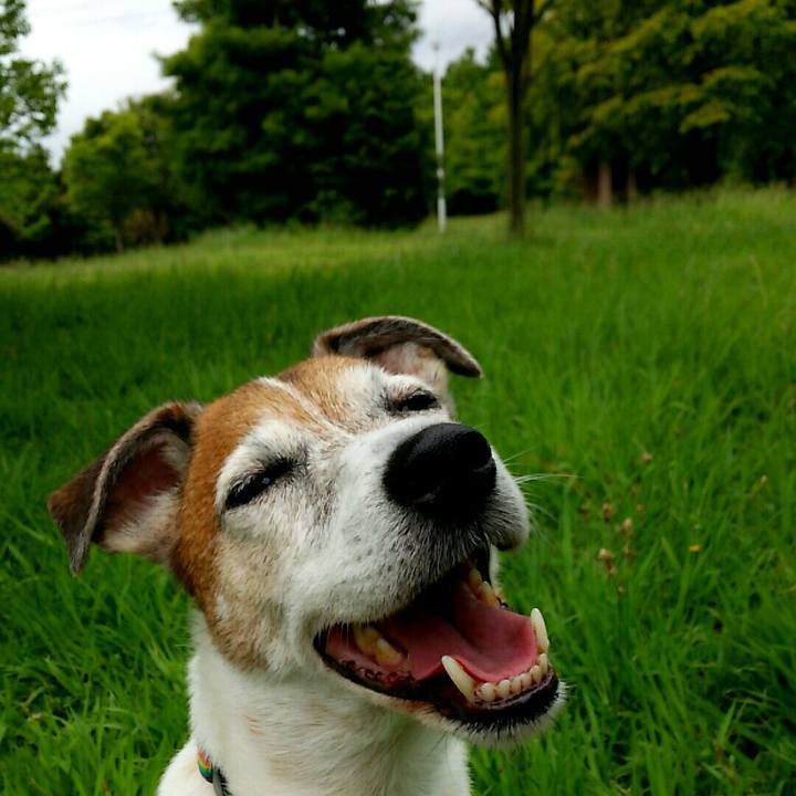 413879e4 520d 45e7 97f7 1b1f545d1720