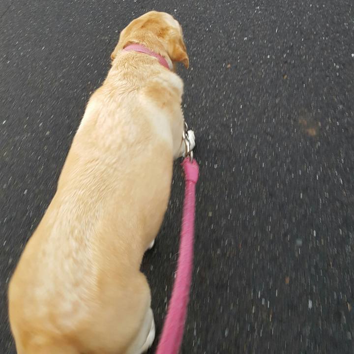 41388044 28f7 4efd b512 1cfd6eb11542