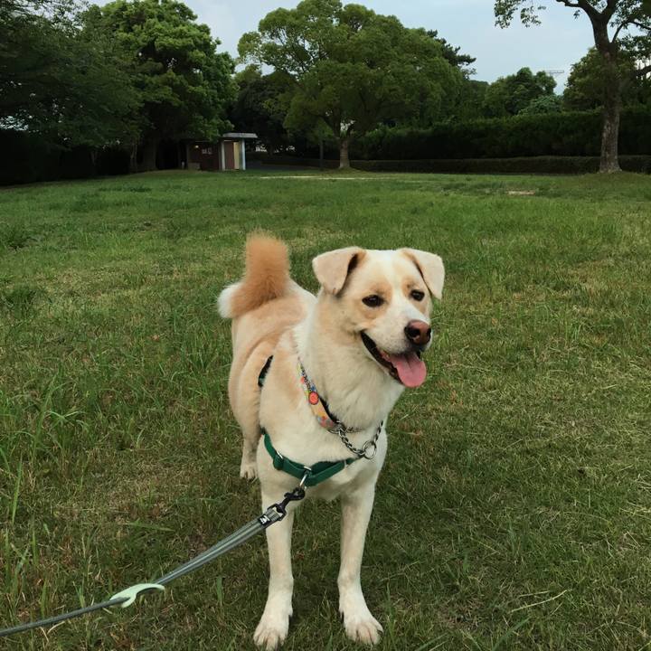 4138a509 b854 4b0d a024 52e896068152