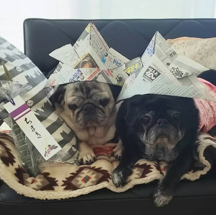 4138dc02 9829 4b39 8239 2b0013f73a1e