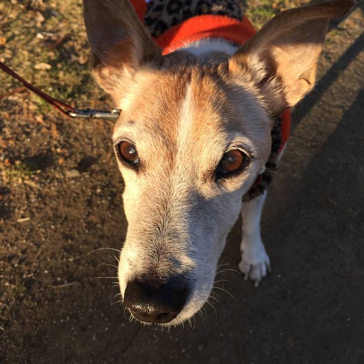 4139bf16 db00 489e a85a cd457b94164d