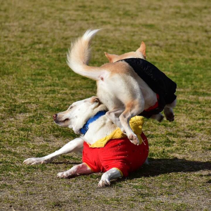 413a7ad3 3ec7 4e2a 9a4a a8ccdfb6968f