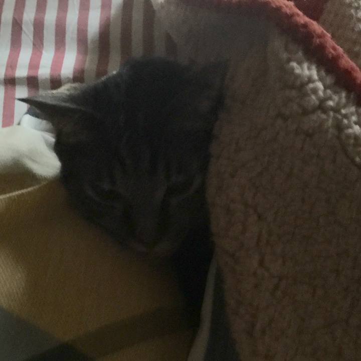 413aae25 aa34 4f22 a408 1aab08eb481c