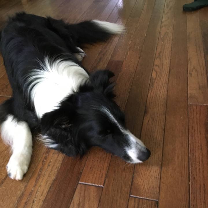 413ab260 70ee 46c9 844f d375a706f138