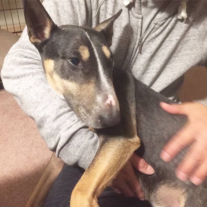 413ad116 9b56 43a0 a186 ce2d259c7239