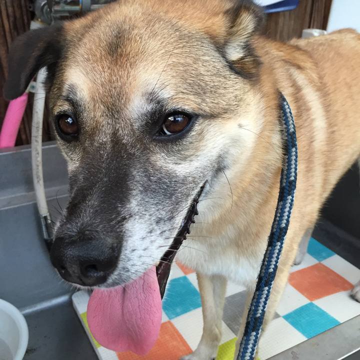 413b54f9 27a1 4895 9576 14f93a4a47ed