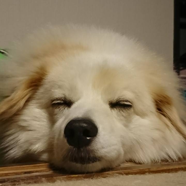 413b62f3 f936 4e2a affc 557f12dc020b