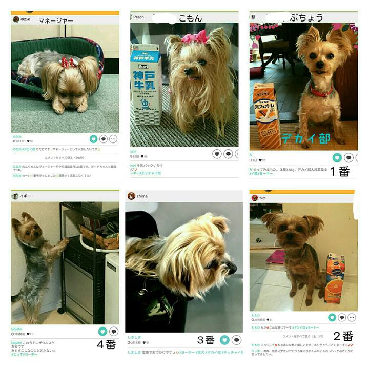 413c0f20 23be 4233 b6d2 13f760412c0a