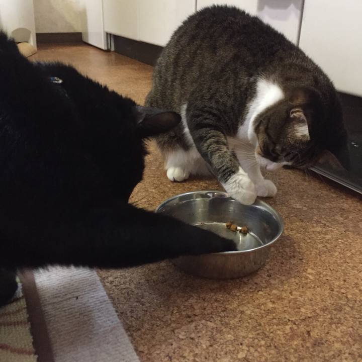 413d2565 b61d 4800 8d31 28529946e65e