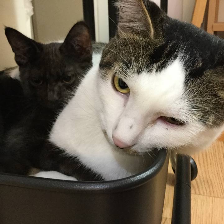 413d6231 1d65 4fdc b70c 881d4747aa30