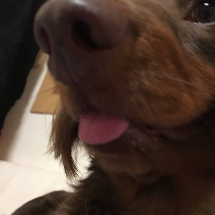 413d6501 948c 4e89 bd61 72a5bbe4a7cf