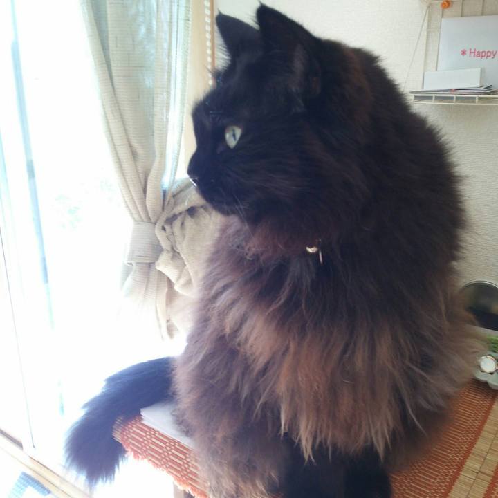 413d7f6c e88b 40f7 a81d b0504eb05666