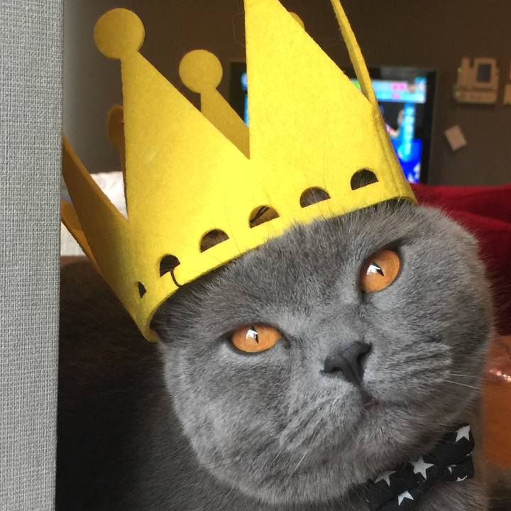 413dbd29 e042 438f 9fb7 3df3d1836fee