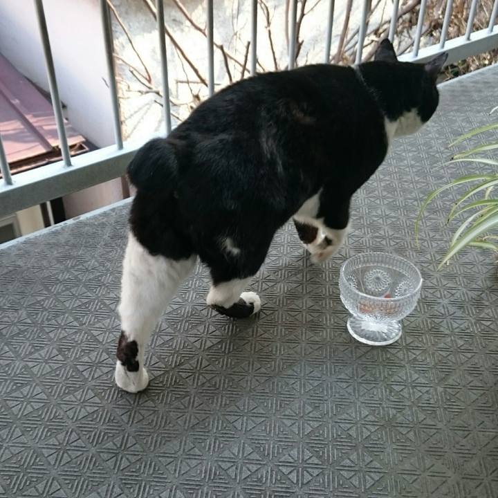 413debb1 e44a 41bc 9b29 6173fd0ab52c