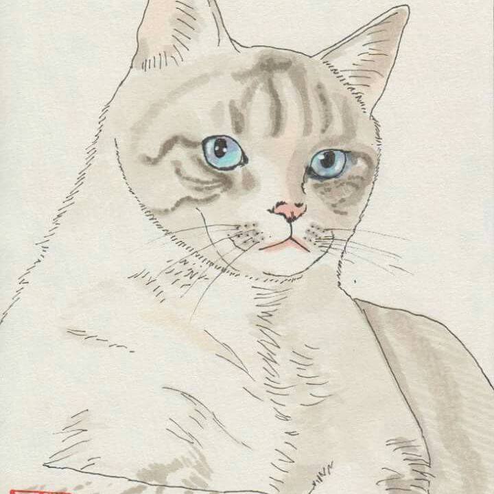 413e2d91 a910 4352 a0ff 21450f99df21